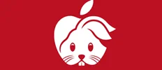 اپل سال چینی خرگوش را با نسخه محدود AirPods Pro جشن می گیرد